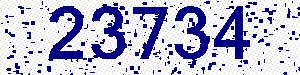 capcha