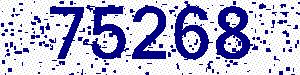 capcha