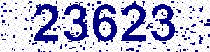 capcha