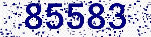 capcha